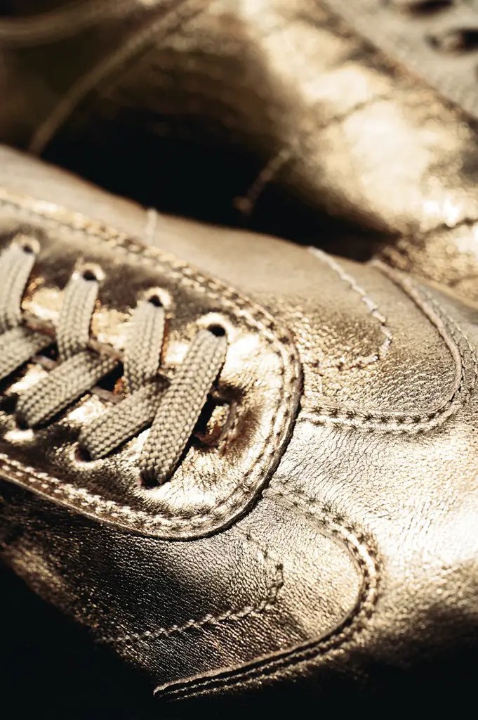 Bronzeschuh produkt-bronzeschuh